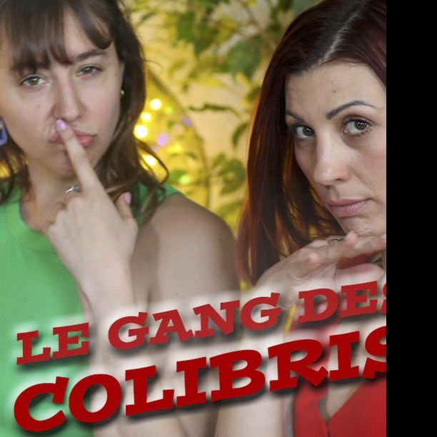 Visuel du film Le Gang des Colibris