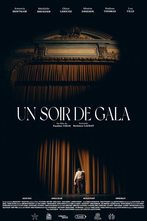 Visuel du film Un soir de gala